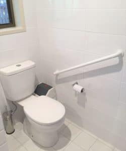 toilet diagonal rail