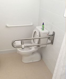 toilet horizontal rail